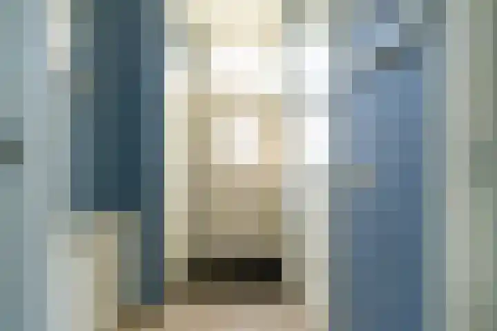 Lieve Vrouwepoldersedijk 14 Stad aan 't Haringvliet thumbnail 17