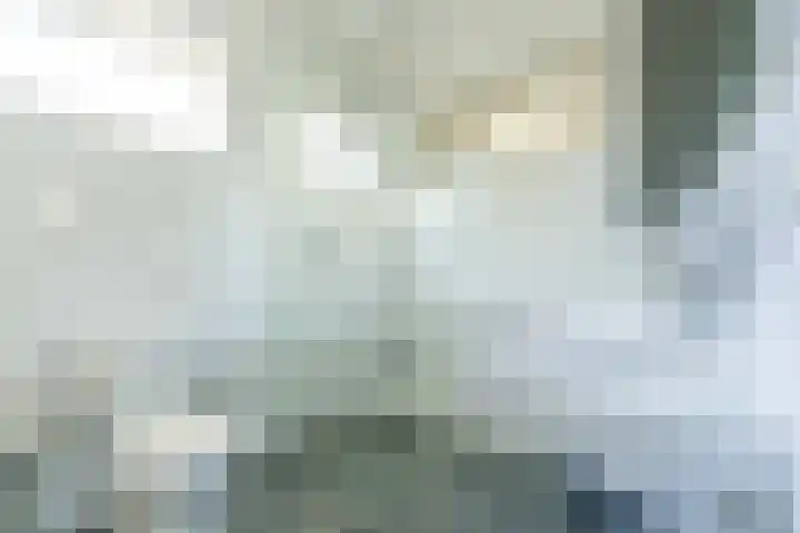 Lieve Vrouwepoldersedijk 14 Stad aan 't Haringvliet thumbnail 18