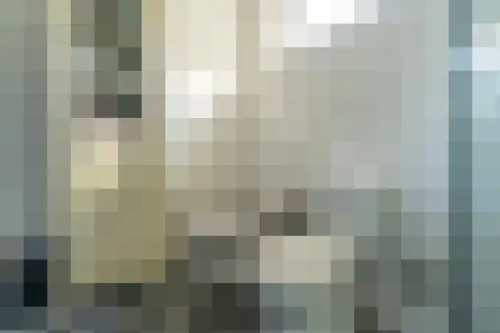 Lieve Vrouwepoldersedijk 14 Stad aan 't Haringvliet thumbnail 19