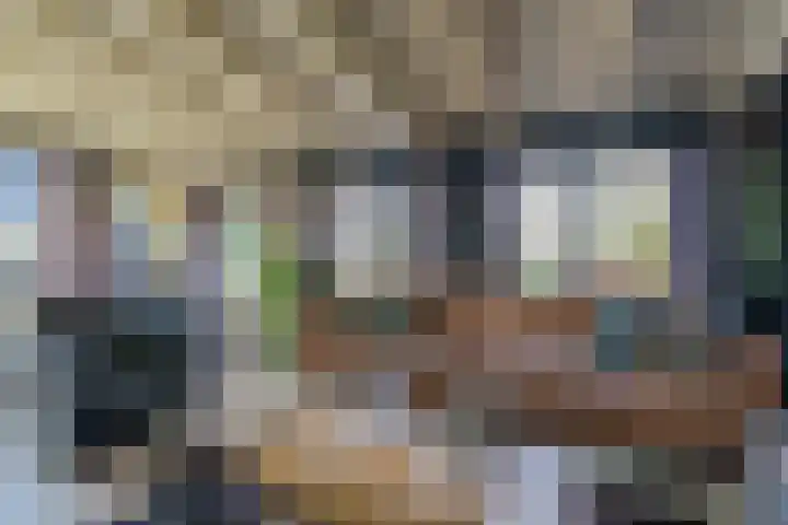 Lieve Vrouwepoldersedijk 14 Stad aan 't Haringvliet thumbnail 20