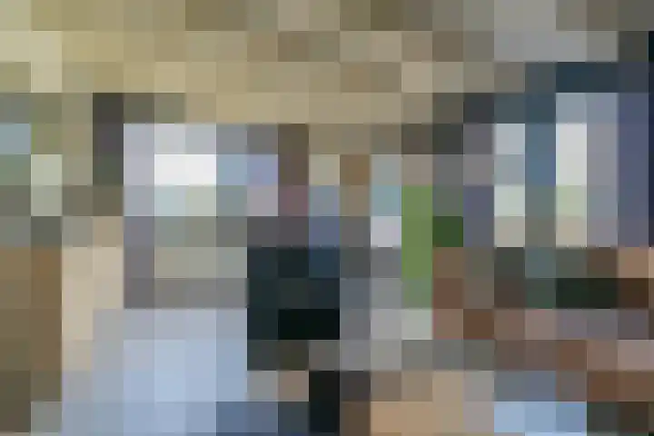 Lieve Vrouwepoldersedijk 14 Stad aan 't Haringvliet thumbnail 22
