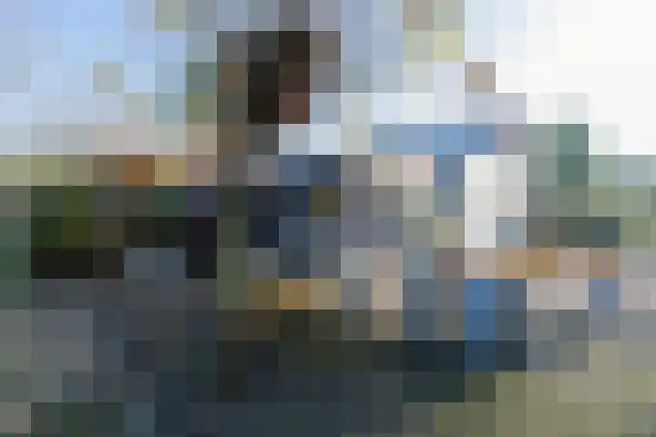 Lieve Vrouwepoldersedijk 14 Stad aan 't Haringvliet thumbnail 24