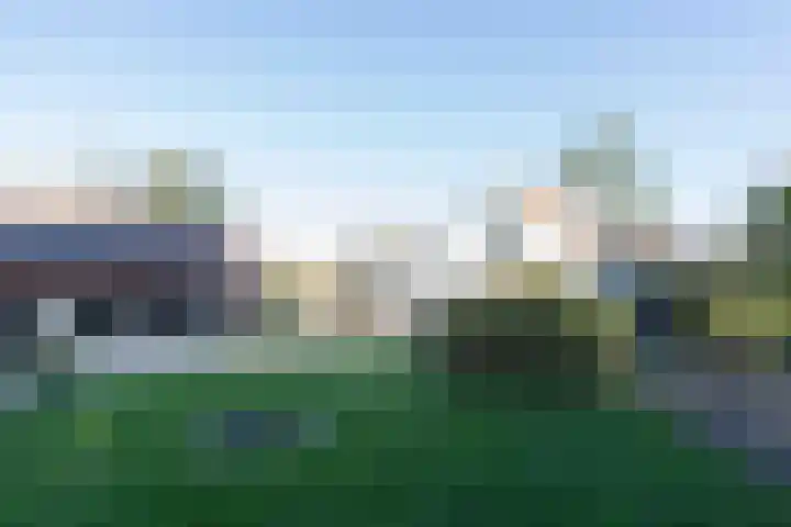 Lieve Vrouwepoldersedijk 14 Stad aan 't Haringvliet thumbnail 28