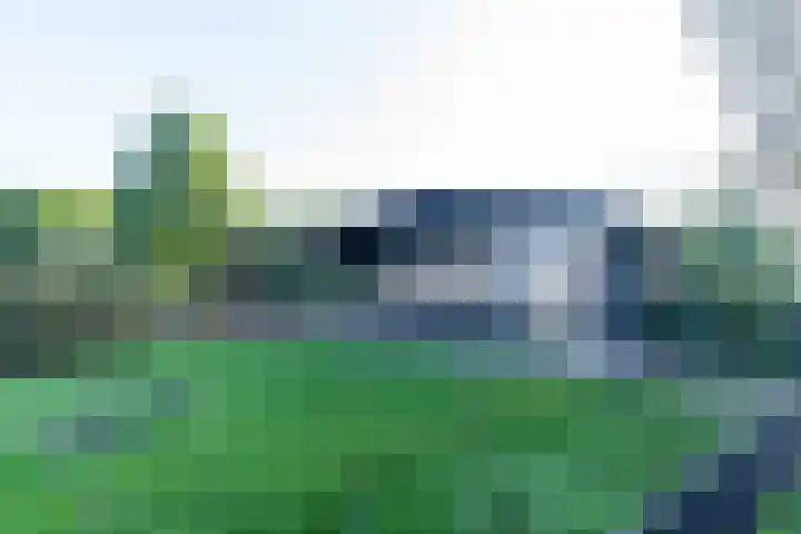 Lieve Vrouwepoldersedijk 14 Stad aan 't Haringvliet thumbnail 32
