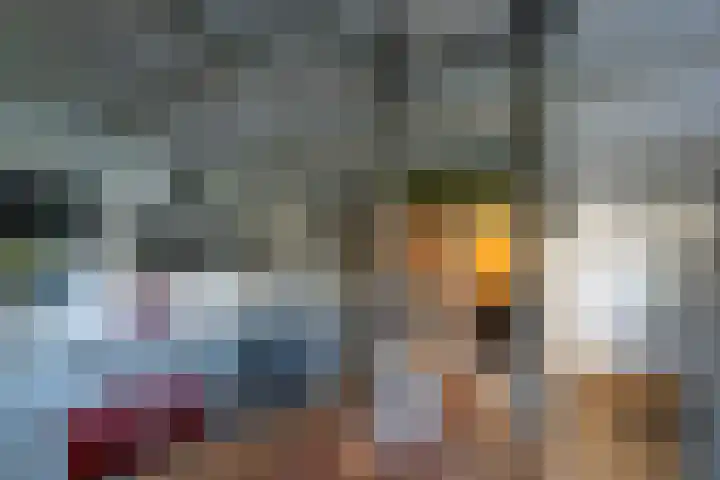 Lieve Vrouwepoldersedijk 14 Stad aan 't Haringvliet thumbnail 36