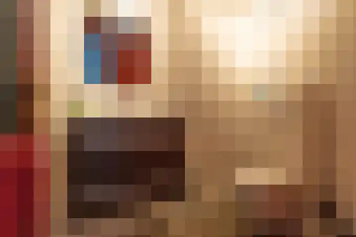 Lieve Vrouwepoldersedijk 14 Stad aan 't Haringvliet thumbnail 37