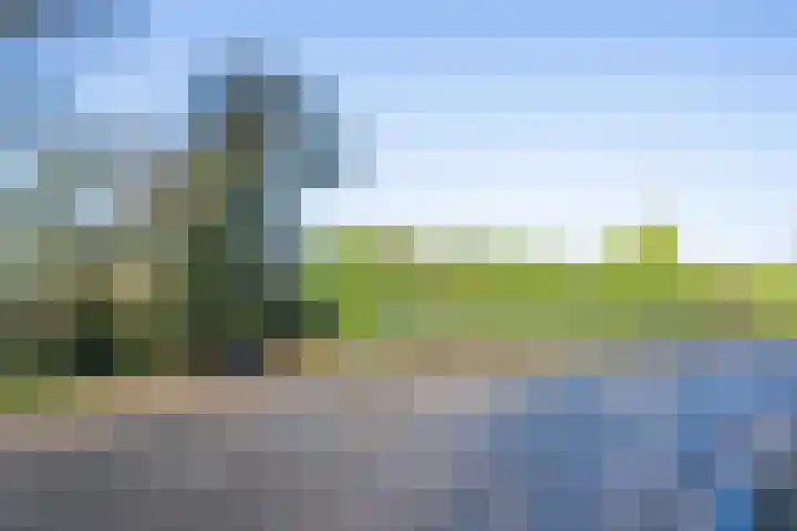 Lieve Vrouwepoldersedijk 14 Stad aan 't Haringvliet thumbnail 38