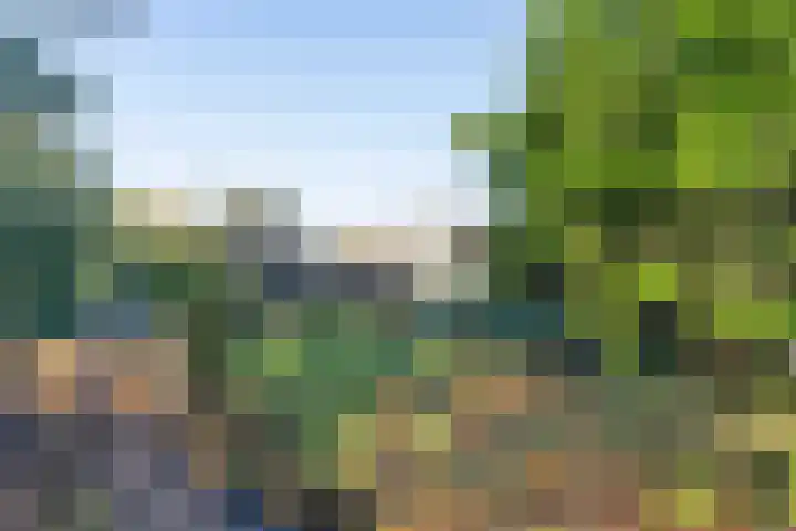 Lieve Vrouwepoldersedijk 14 Stad aan 't Haringvliet thumbnail 4