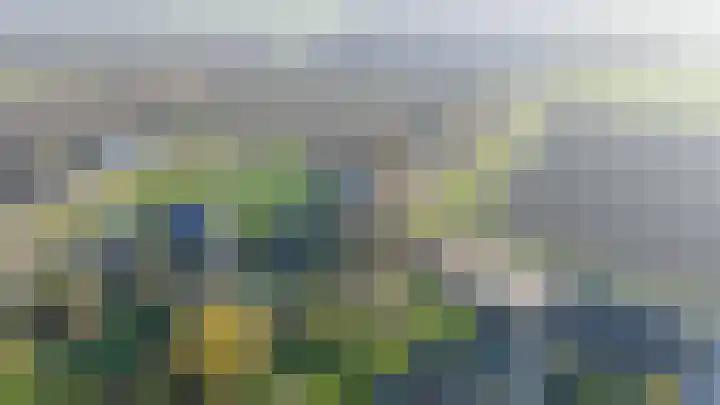 Lieve Vrouwepoldersedijk 14 Stad aan 't Haringvliet thumbnail 40
