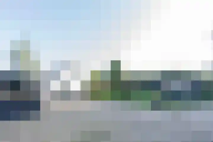Lieve Vrouwepoldersedijk 14 Stad aan 't Haringvliet thumbnail 5