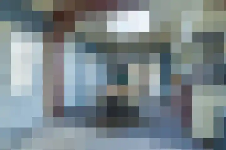 Lieve Vrouwepoldersedijk 14 Stad aan 't Haringvliet thumbnail 6