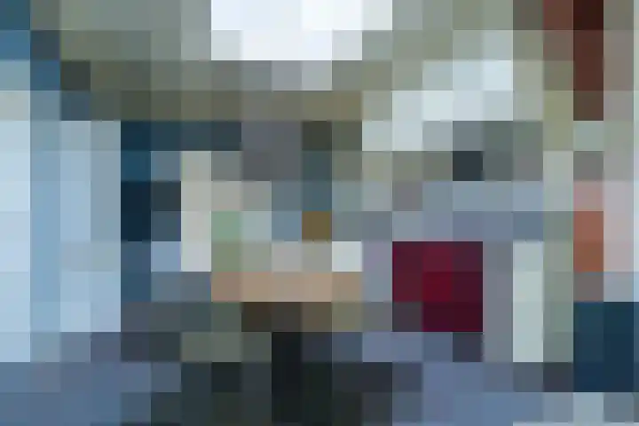 Lieve Vrouwepoldersedijk 14 Stad aan 't Haringvliet thumbnail 7
