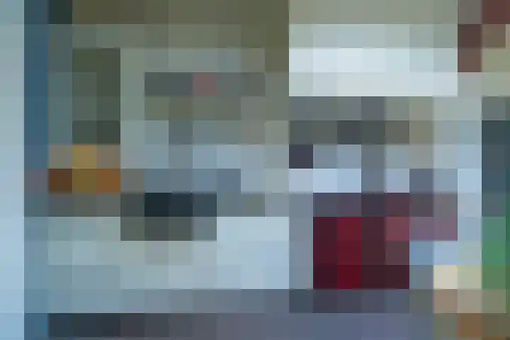 Lieve Vrouwepoldersedijk 14 Stad aan 't Haringvliet thumbnail 8