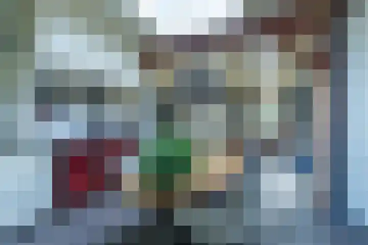 Lieve Vrouwepoldersedijk 14 Stad aan 't Haringvliet thumbnail 9