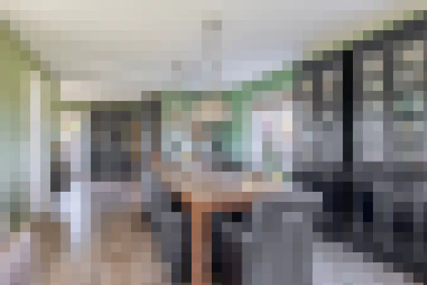Lieve Vrouwepoldersedijk 2 a Stad aan 't Haringvliet thumbnail 11