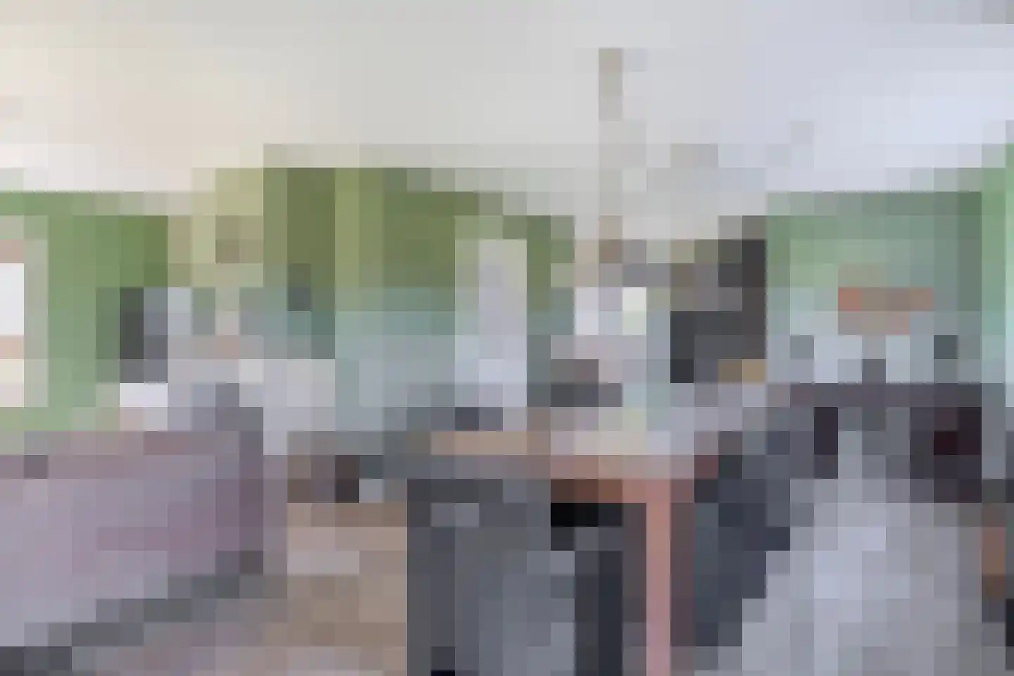 Lieve Vrouwepoldersedijk 2 a Stad aan 't Haringvliet thumbnail 13
