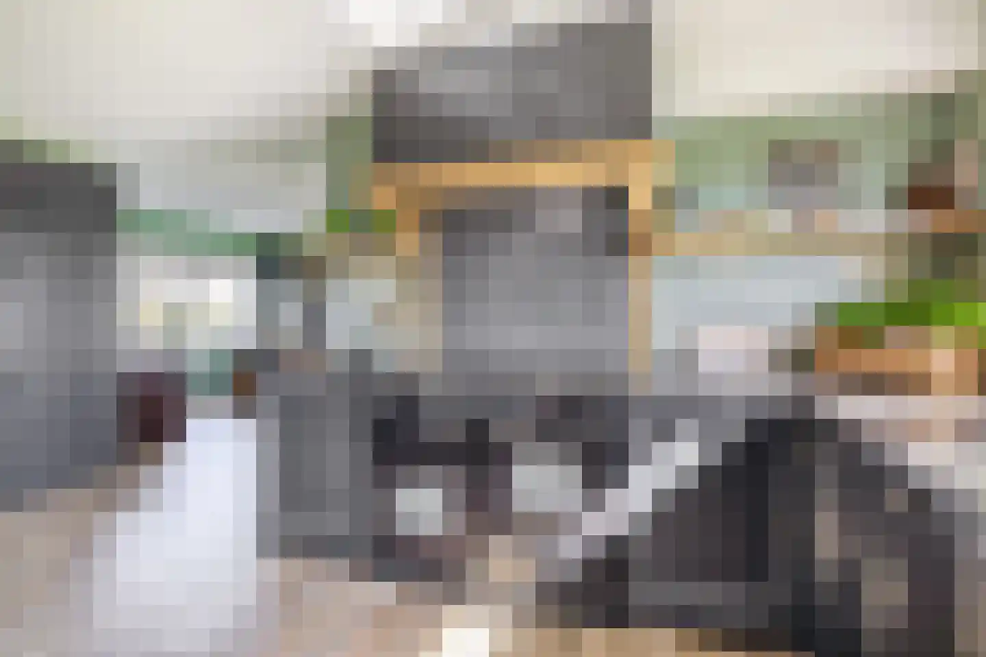 Lieve Vrouwepoldersedijk 2 a Stad aan 't Haringvliet thumbnail 14