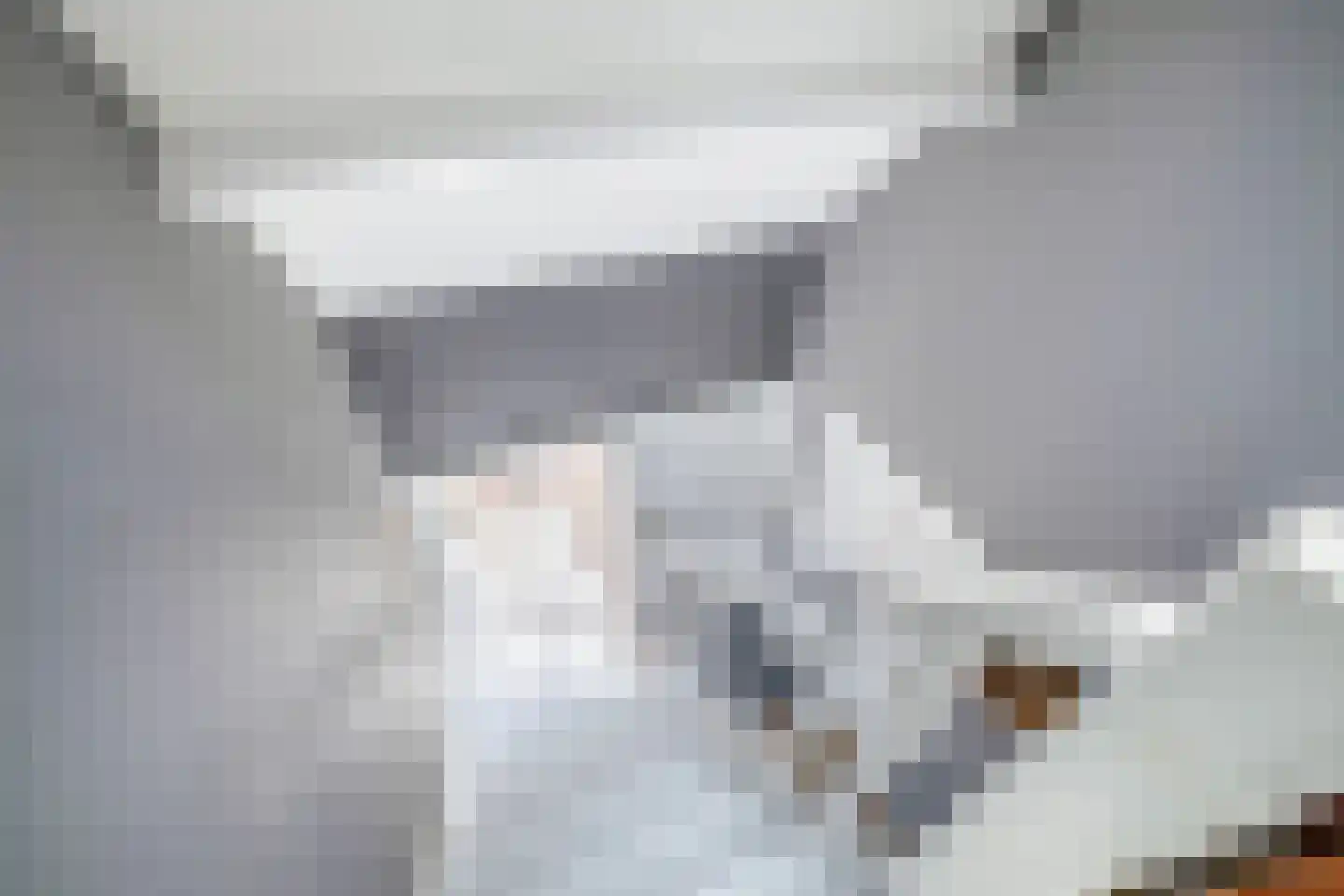 Lieve Vrouwepoldersedijk 2 a Stad aan 't Haringvliet thumbnail 19
