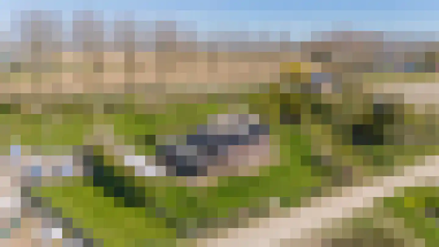 Lieve Vrouwepoldersedijk 2 a Stad aan 't Haringvliet foto 2