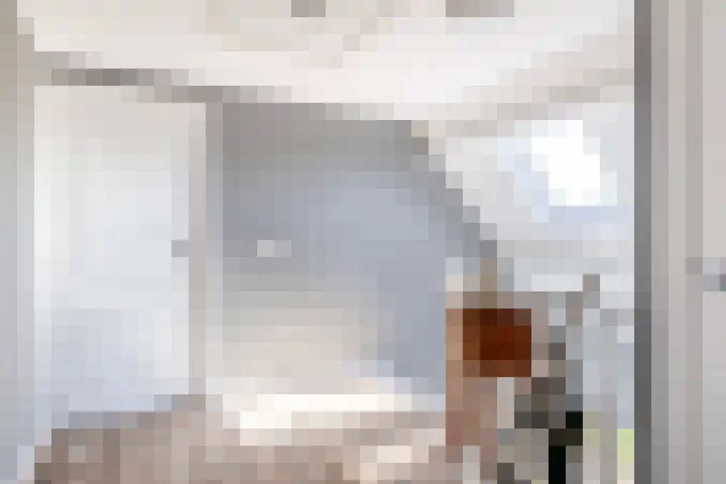 Lieve Vrouwepoldersedijk 2 a Stad aan 't Haringvliet thumbnail 20