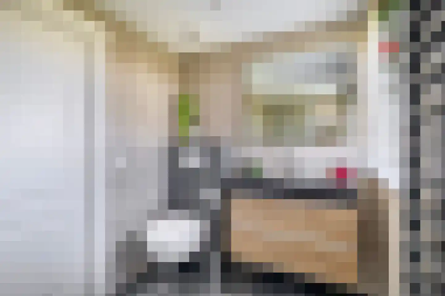 Lieve Vrouwepoldersedijk 2 a Stad aan 't Haringvliet thumbnail 26