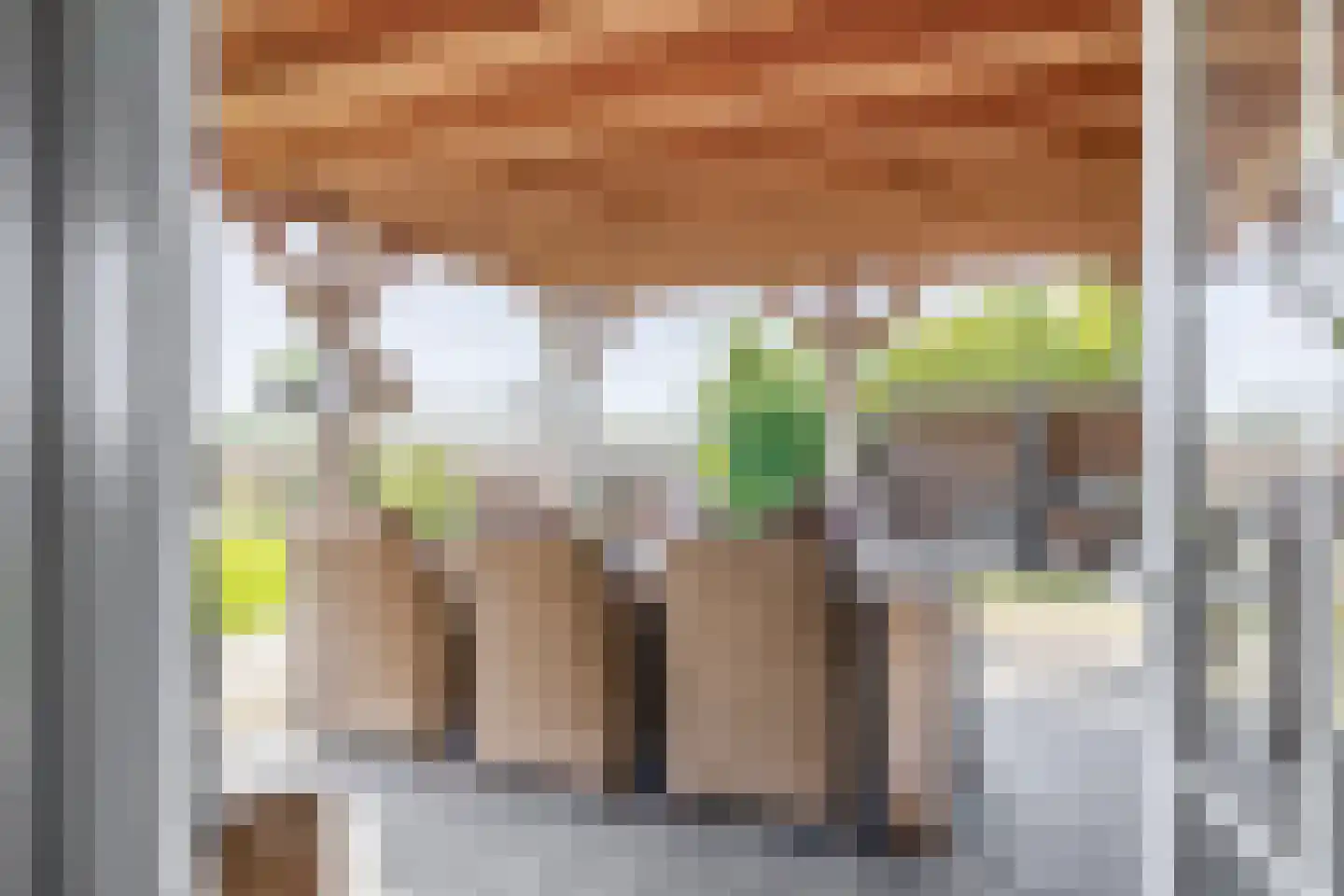 Lieve Vrouwepoldersedijk 2 a Stad aan 't Haringvliet thumbnail 29