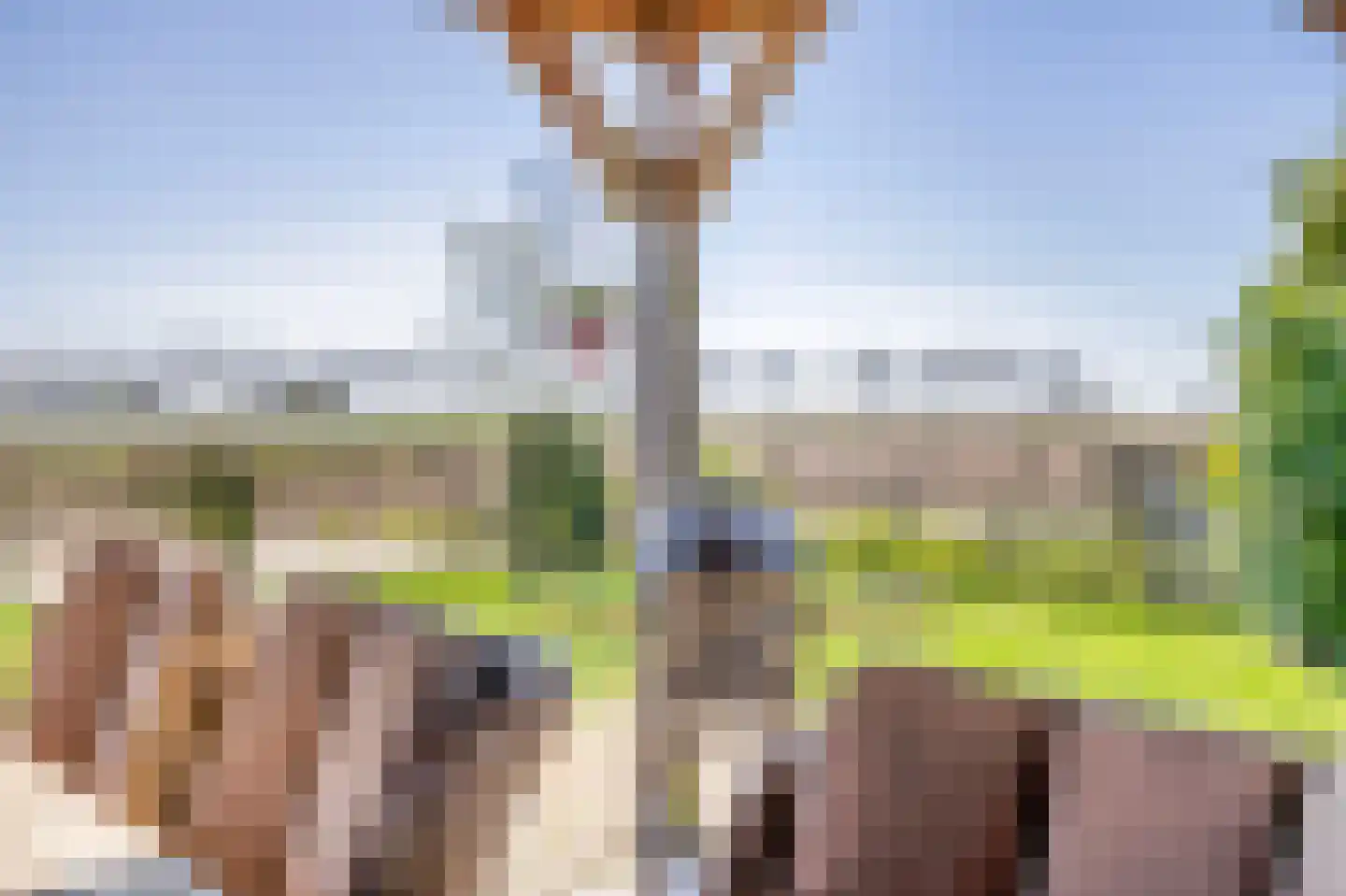 Lieve Vrouwepoldersedijk 2 a Stad aan 't Haringvliet thumbnail 30