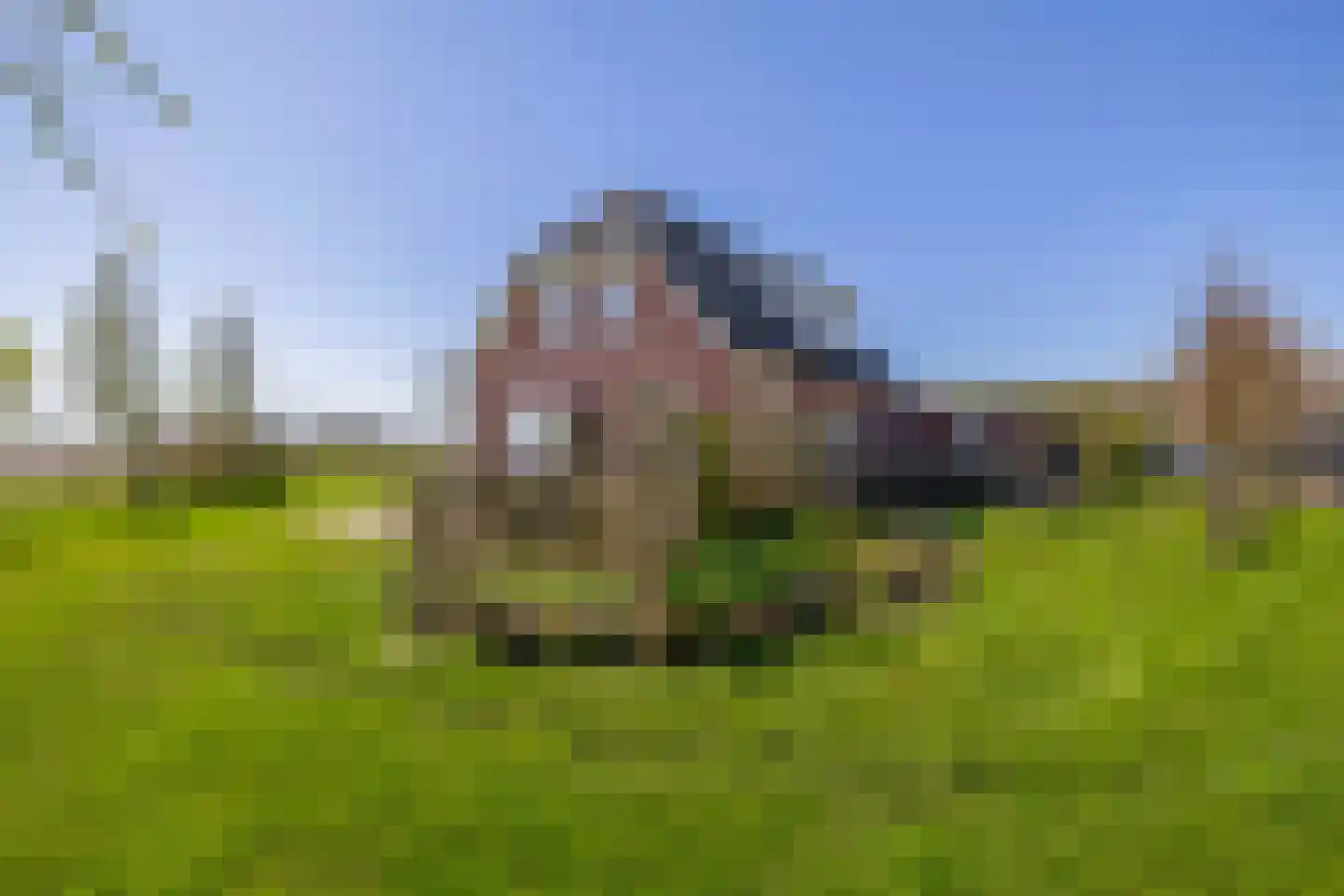Lieve Vrouwepoldersedijk 2 a Stad aan 't Haringvliet thumbnail 48
