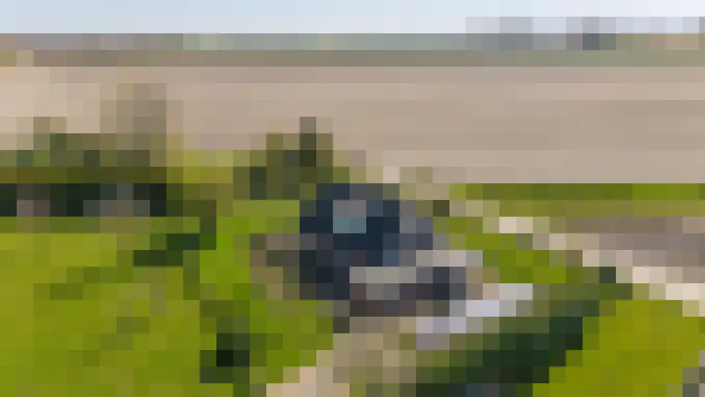 Lieve Vrouwepoldersedijk 2 a Stad aan 't Haringvliet thumbnail 50