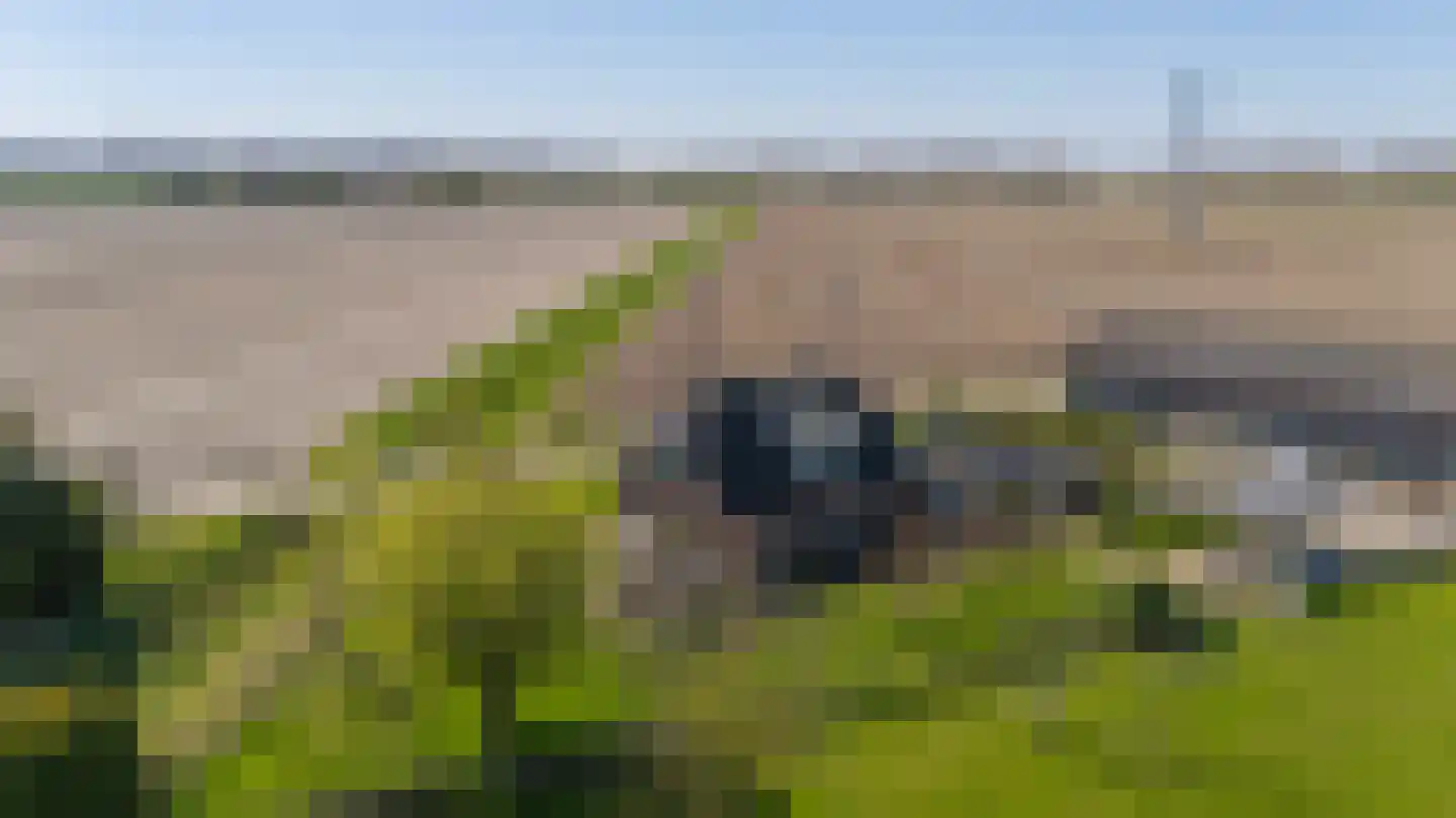 Lieve Vrouwepoldersedijk 2 a Stad aan 't Haringvliet thumbnail 52