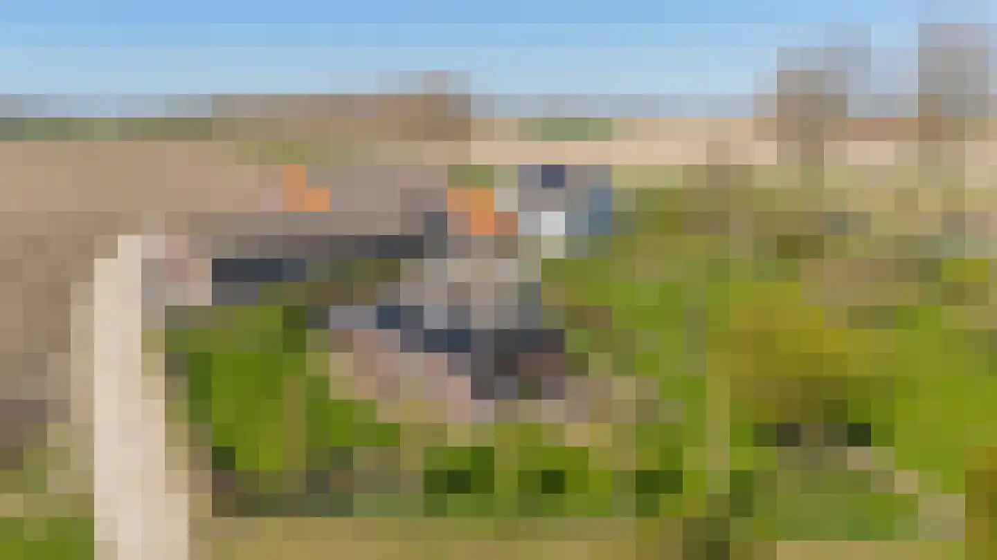 Lieve Vrouwepoldersedijk 2 a Stad aan 't Haringvliet thumbnail 53