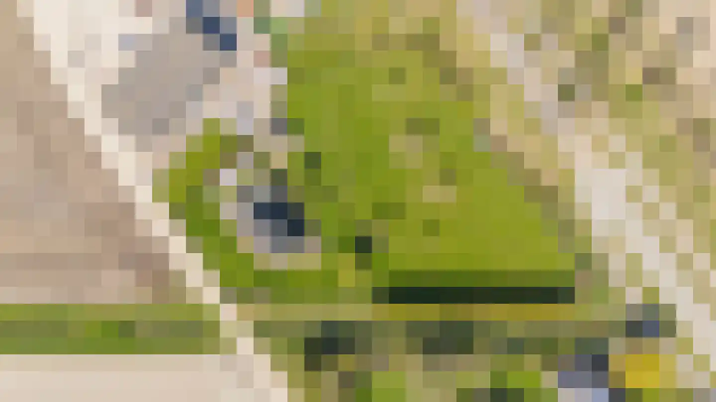 Lieve Vrouwepoldersedijk 2 a Stad aan 't Haringvliet thumbnail 55