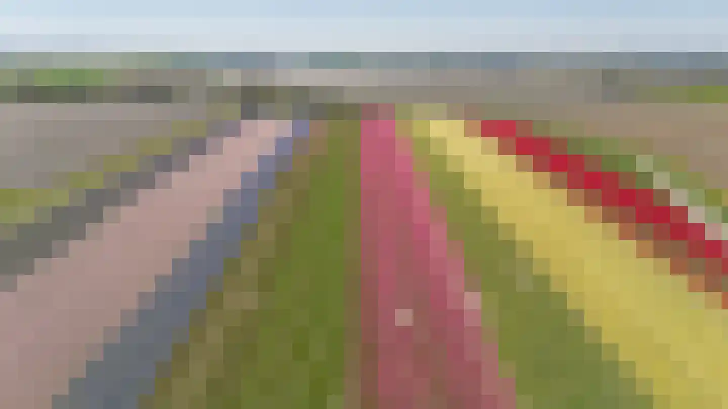 Lieve Vrouwepoldersedijk 2 a Stad aan 't Haringvliet thumbnail 57