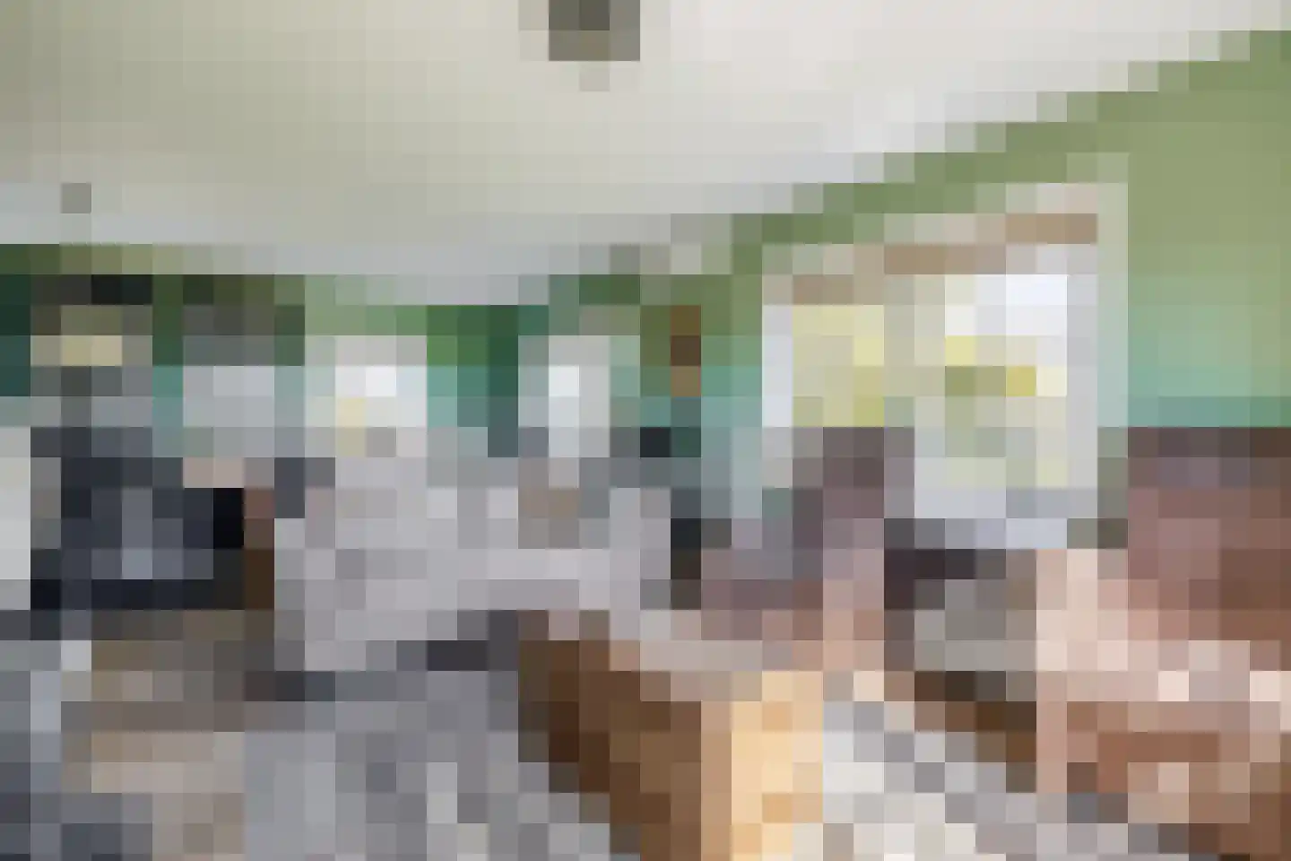 Lieve Vrouwepoldersedijk 2 a Stad aan 't Haringvliet thumbnail 8