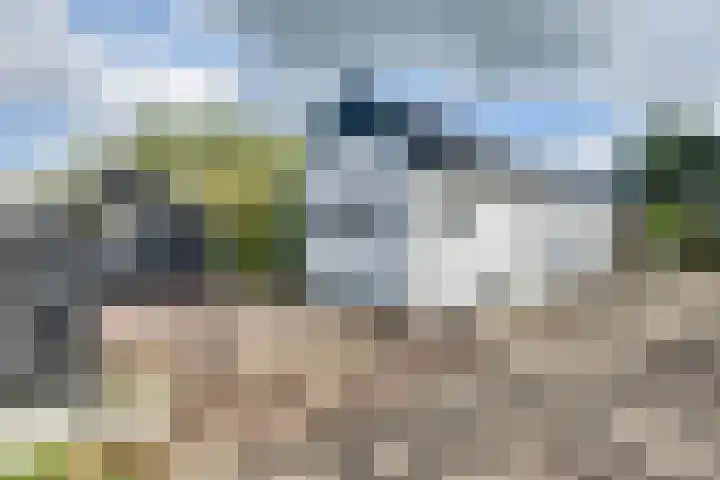 Lieve Vrouwepoldersedijk 23 Stad aan 't Haringvliet thumbnail 10