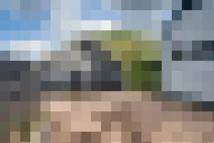 Lieve Vrouwepoldersedijk 23 Stad aan 't Haringvliet thumbnail 11