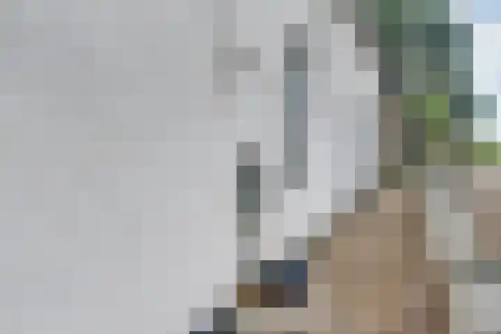 Lieve Vrouwepoldersedijk 23 Stad aan 't Haringvliet thumbnail 12