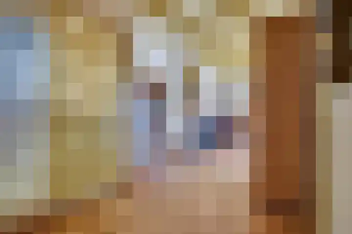 Lieve Vrouwepoldersedijk 23 Stad aan 't Haringvliet thumbnail 13