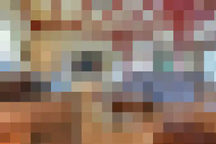 Lieve Vrouwepoldersedijk 23 Stad aan 't Haringvliet thumbnail 14