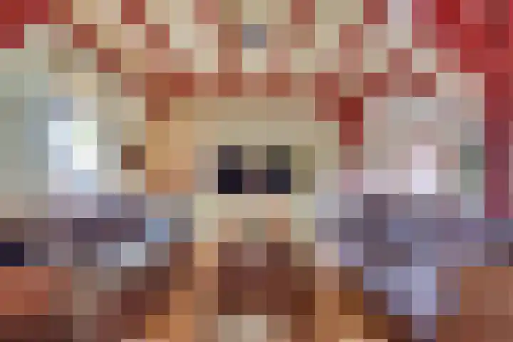 Lieve Vrouwepoldersedijk 23 Stad aan 't Haringvliet thumbnail 17