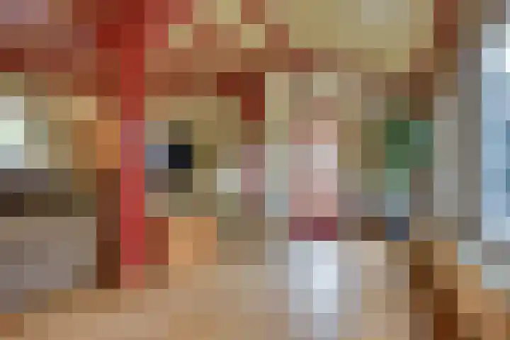 Lieve Vrouwepoldersedijk 23 Stad aan 't Haringvliet thumbnail 18