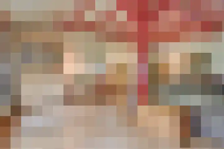 Lieve Vrouwepoldersedijk 23 Stad aan 't Haringvliet thumbnail 19