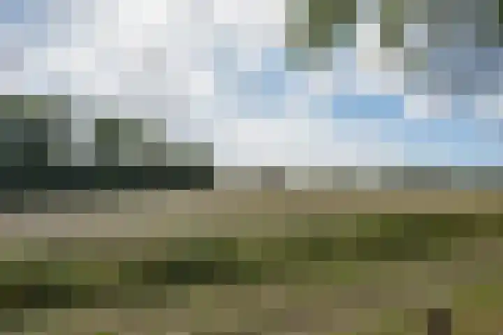 Lieve Vrouwepoldersedijk 23 Stad aan 't Haringvliet foto 2