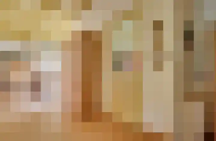 Lieve Vrouwepoldersedijk 23 Stad aan 't Haringvliet thumbnail 21
