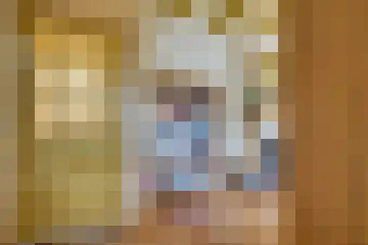 Lieve Vrouwepoldersedijk 23 Stad aan 't Haringvliet thumbnail 23