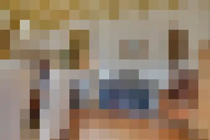 Lieve Vrouwepoldersedijk 23 Stad aan 't Haringvliet thumbnail 29
