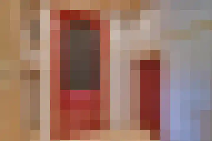 Lieve Vrouwepoldersedijk 23 Stad aan 't Haringvliet thumbnail 30