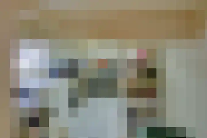 Lieve Vrouwepoldersedijk 23 Stad aan 't Haringvliet thumbnail 33