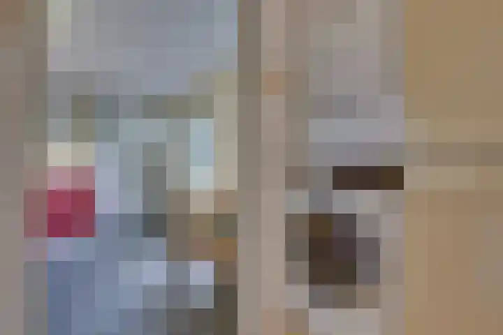 Lieve Vrouwepoldersedijk 23 Stad aan 't Haringvliet thumbnail 35