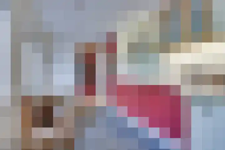 Lieve Vrouwepoldersedijk 23 Stad aan 't Haringvliet thumbnail 36